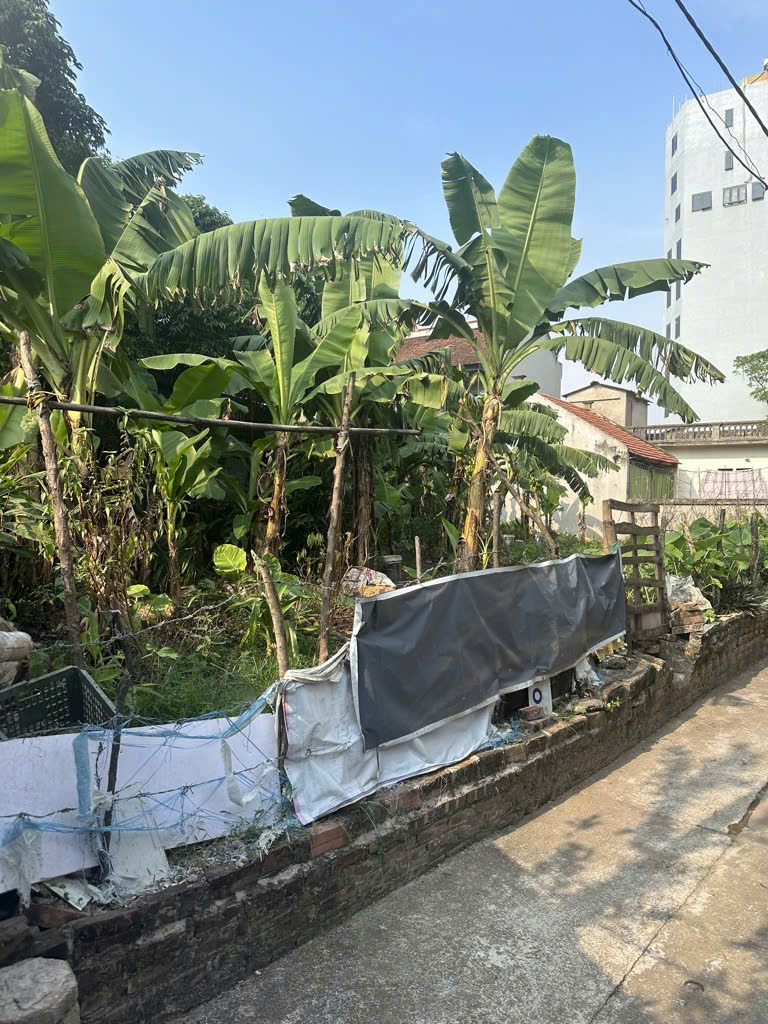 🔥c🔥  ĐẤT RỘNG 195M² – MẶT TIỀN QUYỀN LỰC– CỰC KỲ PHÙ HỢP CHIA LÔ ĐẦU TƯ 🔥 - Ảnh chính